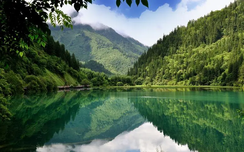 高端先进新型